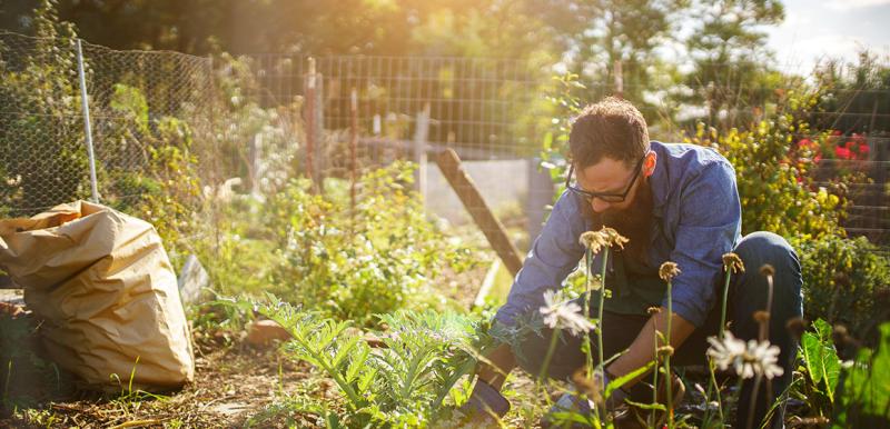 Beleeftuin voor Talma Hiem